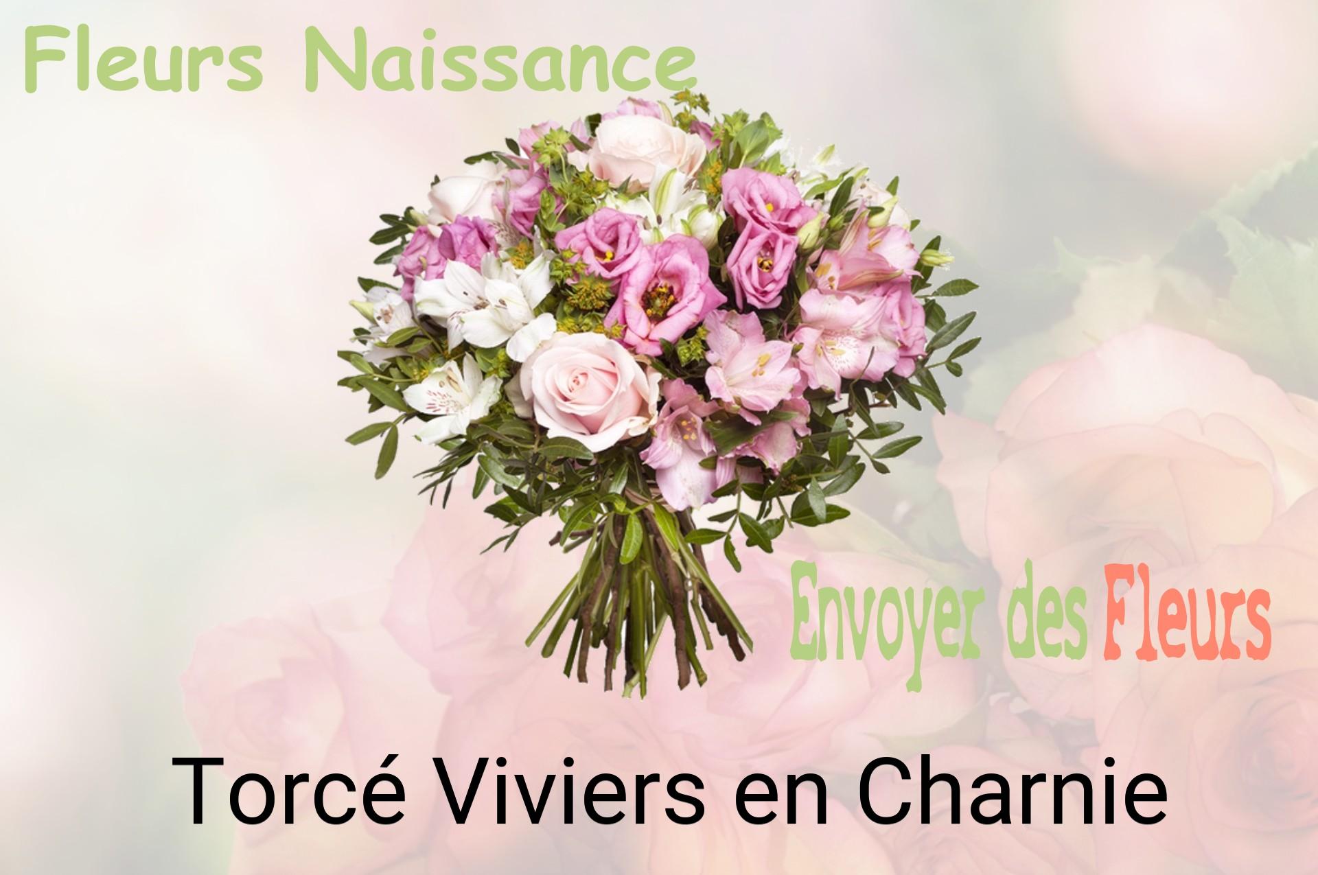Bouquet de fleurs de naissance livré à Torcé-Viviers-en-Charnie
